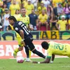 Bucaramanga invicto, América líder, Junior se hunde, balance de liga; Torneo de ascenso; Las leonas de Santa Fe clasificaron copa libertadores.
