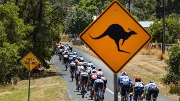 Tour Down Under: Tras accidente, en última etapa, se retiró Juan Sebastián Molano 